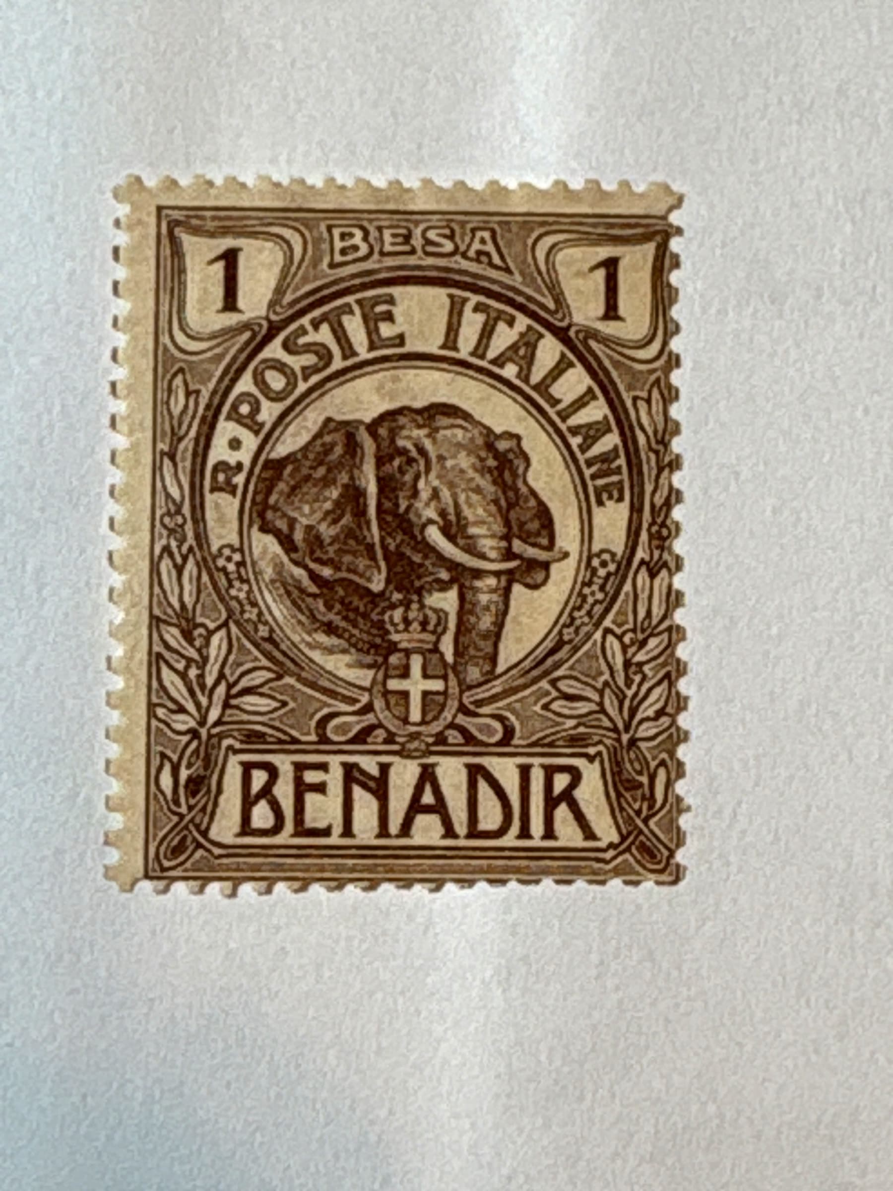 Elephant 1b brown β Front
